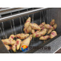 Ginger Washing Machine, Ginger Peeling Machine